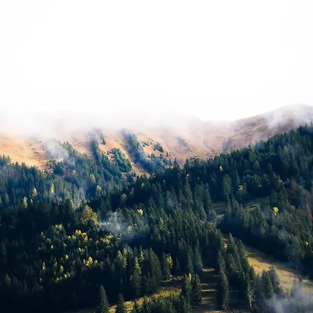 Franzls Panorama