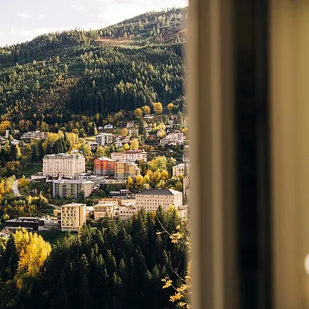 Franzls Panorama Apartment Bad Gastein